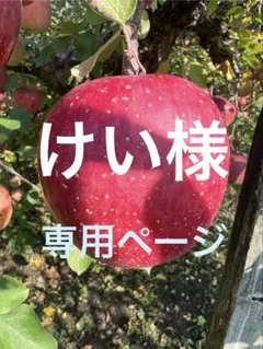 けい様専用ページ　山形県朝日町和合平　サンふじ