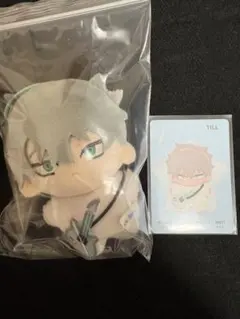 エイステ　海星体ぬい　ティル