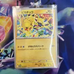 【新品未開封】ピカチュウ ジムプロモ