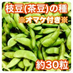 ラムティッカ様 リクエスト 3点 まとめ商品