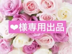 ❤︎様専用出品