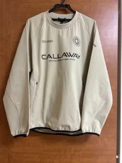 Item thumbnail for item a63667e9-5d6c-4ebe-9760-60fdefab4603