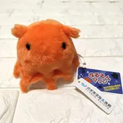 沼津港深海水族館 ぷるるんマリン メンダコ ぬいぐるみ マスコット　タグ付き