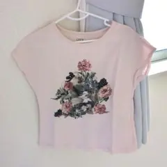 PAUL & JOE ユニクロ 110 ネコ