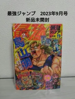 ドラゴンボールGT 26弾 カードダス ディスプレイ 台紙 - メルカリ