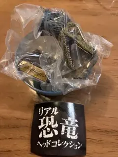 リアル恐竜ヘッドコレクション　ヴェロキラプトルのサムネイル