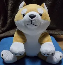 柴犬　ぬいぐるみブランケット