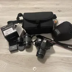 2025年最新】canon ds126311の人気アイテム - メルカリ