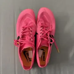 Nike ドラゴンフライ28cm