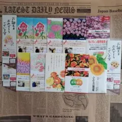花の種 ガーデニング 園芸 まとめ売りセット 13個のサムネイル