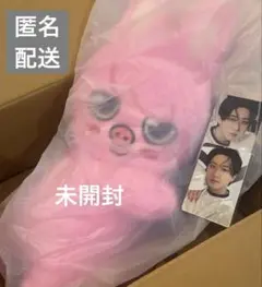 straykids トゥエッキ　チャンビン　skzoo plush bag