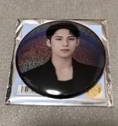 SEVENTEEN WORLD TOUR NEW_ 缶バッジ ミンギュ