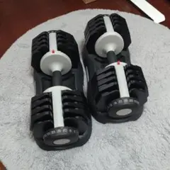 可変式ダンベル 25kg x 2個 （総重量50kg）※要説明欄確認
