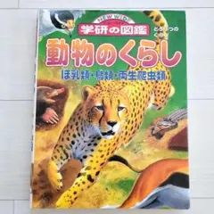 Item thumbnail for item bb59e89c-3ac1-4ad4-ae78-d4ffa6c5f82a