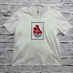 PICONE　ピッコーネ　半袖シャツ　ｗ0725-0624-③-⑥　サイズ38