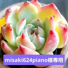 misaki624piano様 リクエスト 2点 まとめ商品