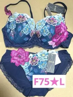 2026年最新】f75 サルートの人気アイテム - メルカリ