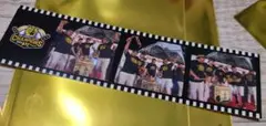 阪神タイガース シークレットネガフィルム風優勝記念ステッカー