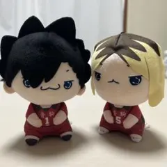 ハイキュー 孤爪研磨 黒尾鉄朗 もちぴこぬいぐるみ 音駒 マスコット