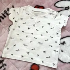 INSECT COLLECTION Tシャツ ホワイト 綿100 男の子昆虫柄のサムネイル