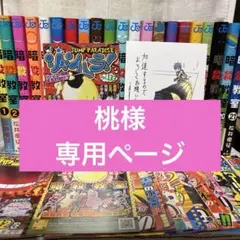 桃様 専用ページ