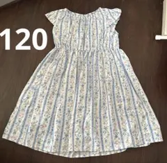 any FAM kids 120 水色花柄ストライプワンピース