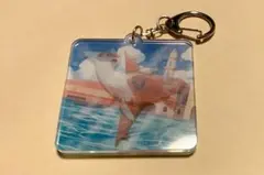 ラティアス アクリルキーホルダーコレクション Invisible to Me