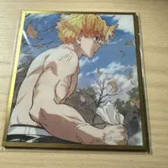 鬼滅の刃 ufotable WEBSHOPくじ 我妻善逸 - メルカリ