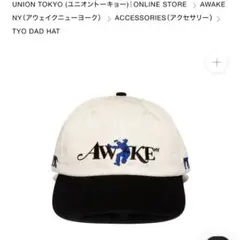 AWAKE NY UNION TOKYO TYO DAD HATのサムネイル