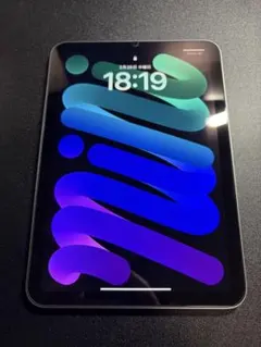 Apple iPad mini スペースグレー