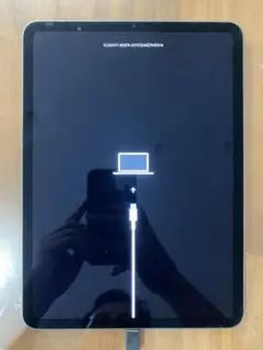 iPadAir3.256GB+カバー+フィルム[水没ジャンク] iPadAir3.256GB+カバー+フィルム[水没ジャンク] - メルカリ