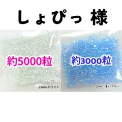 しょぴっ 様・専用