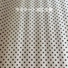 Item thumbnail for item 14109dbb-18e7-489b-b3b3-636ee3228f16