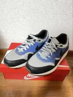Nike Air Max 最終値下げ 即決歓迎