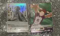 ハイキュー バボカ 天童覚