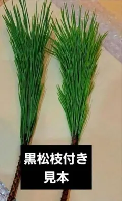 Item thumbnail for item 8fa48a01-bbb3-4ee1-b119-c008ee69a9ab