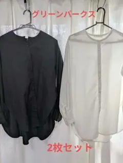 最終お値段！グリーンパークス購入ノーカラー ブラウス2色セット
