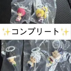 HUNTER×HUNTER めじるしアクセサリー コンプリートセット