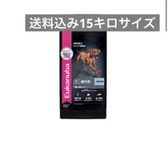 Item thumbnail for item 63a06165-17c5-44d3-acff-25020ee0ec46