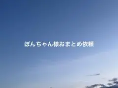 ぽんちゃん様 リクエスト 3点 おまとめ商品