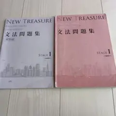NEW TREASURE ENGLISH SERIES 文法問題集　1
