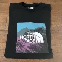 THE NORTH FACE 長袖　ロンT 黒 メンズM