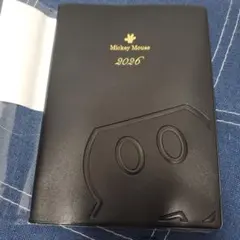 Item thumbnail for item 9e3ff4f4-0815-48fc-8569-02e868f35902