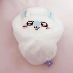 ♡ふわふわ モモンガおくるみマスコット♡
