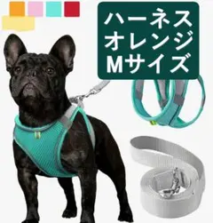 新品未使用★オレンジ ハーネスリード Mサイズ