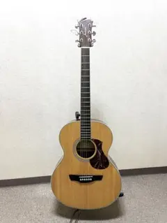 2026年最新】アコギ jamesの人気アイテム - メルカリ