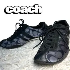 Item thumbnail for item a68f959b-ee5a-4ee9-a9ca-cfe9d8cfae80