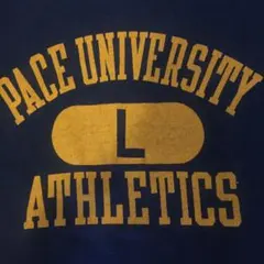 80s チャンピオンTシャツ L トリコタグ ヴィンテージ 古着 USA