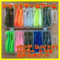 ジグヘッドワーム シャッドテール 16g 22g まとめ売り VJ代用品 新品 ダイソーVJ、シャッドテールワームで釣れた魚と使い方 | たにせん