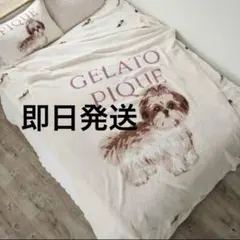2025年最新】ジェラートピケ 毛布 シーズーの人気アイテム - メルカリ